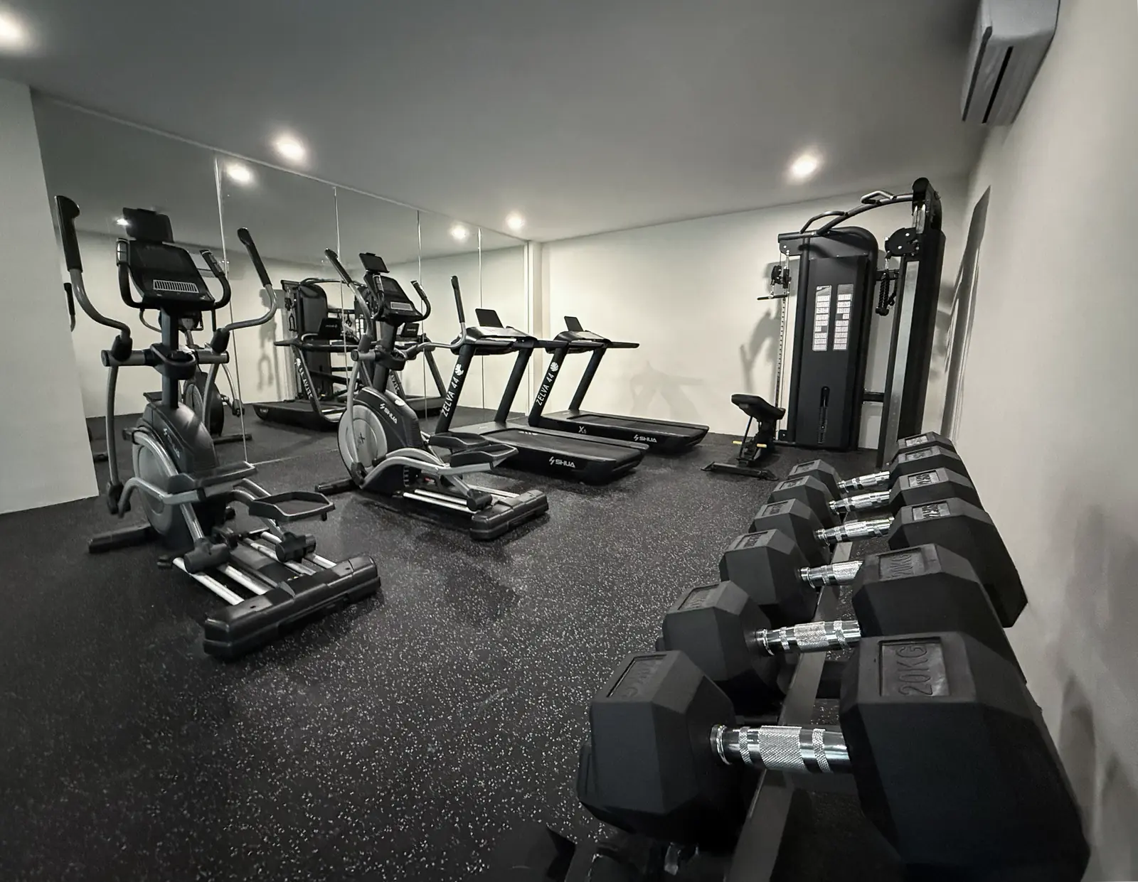 Gimnasio Premium