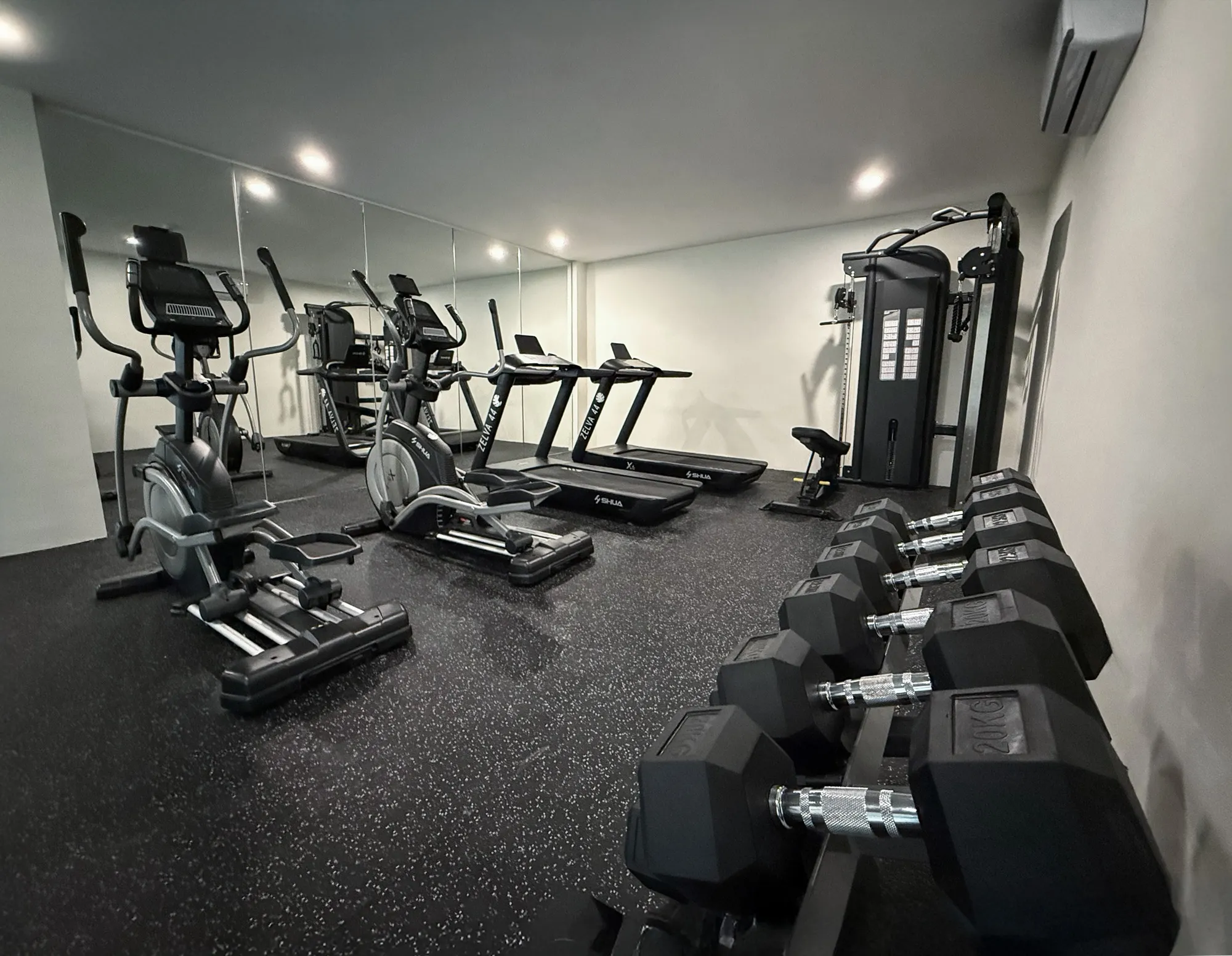 Gimnasio Premium